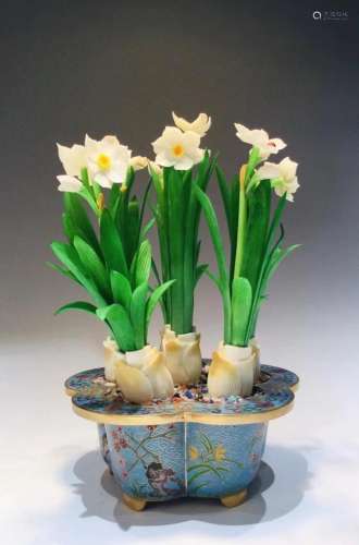 BONE CARVED NARCISSUS IN CLOISONNE ENAMELED POT