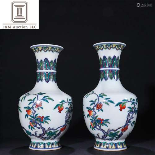 A Pair of Dou-Cai Glazed Porcelain Vases