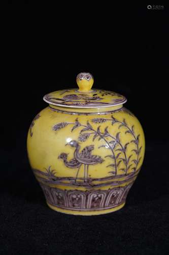 A Yellow Glazed Bird Pattern Porcelain Jar