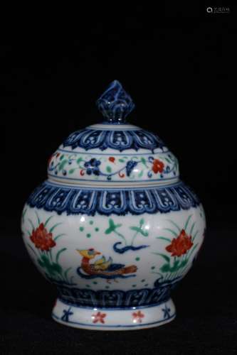 A Wucai Mandrian Duck Pattern Porcelain Pot