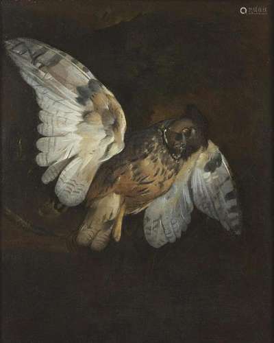 ARTISTA DEL XVII SECOLO Still life with owl.