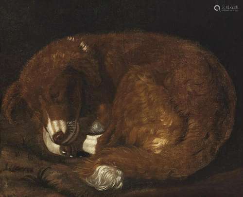 ARTISTA DEL XVIII SECOLO Sleeping dog.