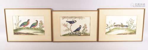 THREE GOOD FRAMED AND GLAZED CHINESE PITH PAINTINGS depictin...