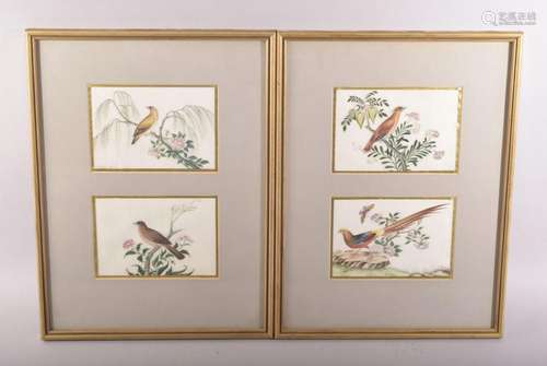 A SET OF FOUR FRAMED AND GLAZED CHINESE PITH PAINTINGS OF BI...