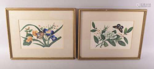 A PAIR OF FRAMED AND GLAZED CHINESE PITH PAINTINGS OF BUTTER...