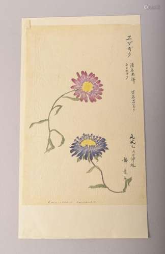 TWO JAPANESE MEIJI / TAISHO PAINTINGS OF FLOWERS ON PAPER, s...