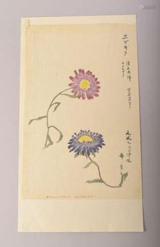 TWO JAPANESE MEIJI / TAISHO PAINTINGS OF FLOWERS ON PAPER, s...