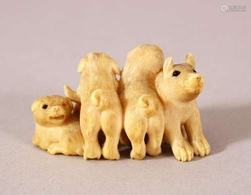 A JAPANESE MEIJI PERIOD CARVED IVORY NETSUKE OF A BOAR AND D...