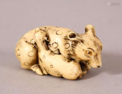 A JAPANESE MEIJI PERIOD CARVED IVORY NETSUKE - SHEEP & L...