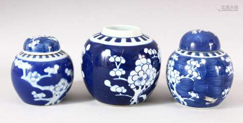 A LOT OF THREE CHINESE BLUE & WHITE PORCELAIN PRUNUS GIN...