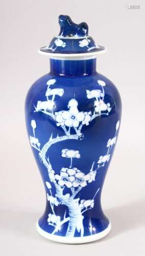 A 19TH CENTURY CHINESE BLUE & WHITE PORCELAIN VASE &...