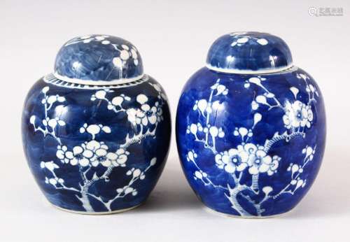 TWO 19TH CENTURY CHINESE BLUE & WHITE PORCELAIN GINGER J...