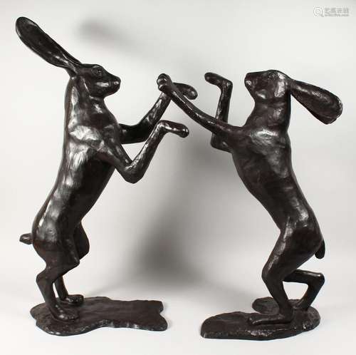 A VERY LARGE PAIR OF BRONZE BOXING HARES. 34ins high.