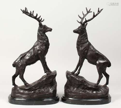 AFTER J. MOIGNIEZ A PAIR OF BRONZE STAGS on marble bases. 16...