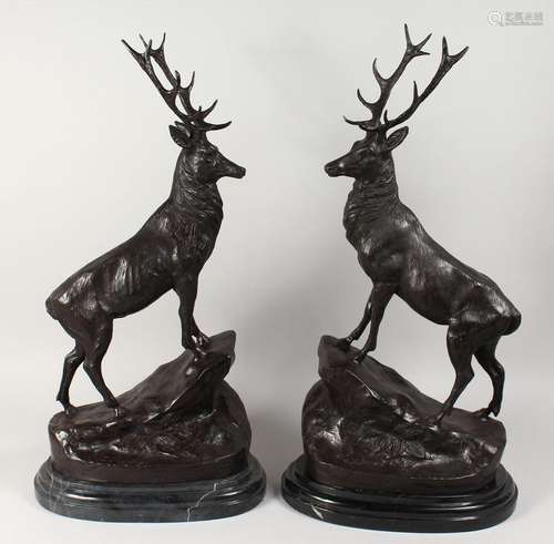 AFTER J. MOIGNIEZ A LARGE PAIR OF BRONZE STAGS on marble bas...