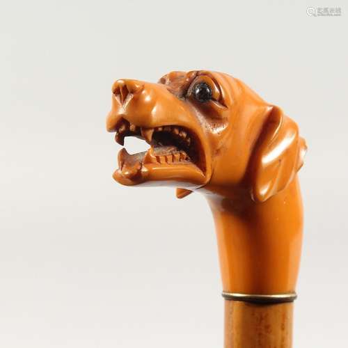 A DOG'S HEAD WALKING STICK.