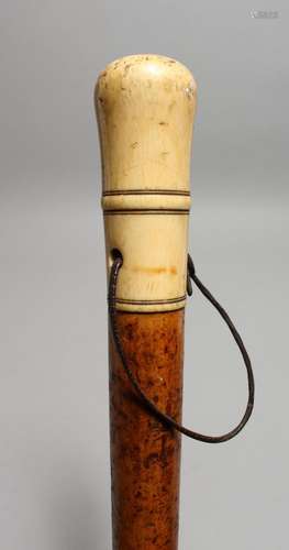 A GEORGIAN IVORY HANDLED WALKING STICK. 36ins long.