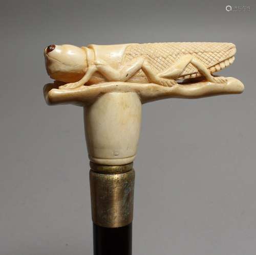 A WALKING STICK with bone handle, "LOCUST". 33ins ...