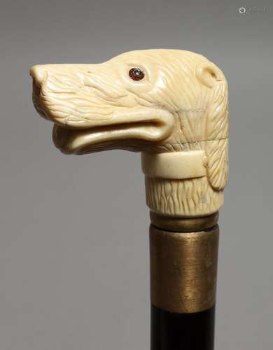 A WALKING STICK with bone handle, DOG. 33ins long.