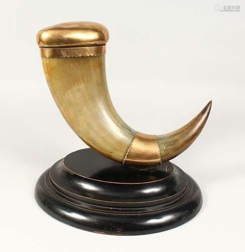 A VERY GOOD LARGE HORN TABLE SNUFF MULL, the curving form 18...