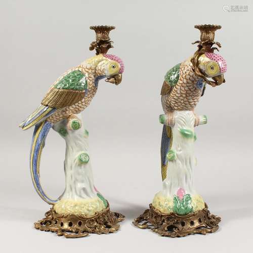 A GOOD PAIR OF PORCELAIN PARROT CANDLESTICKS with ormolu mou...