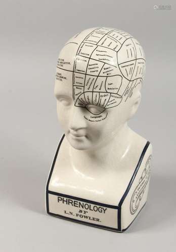 A PORCELAIN PHRENOLOGY HEAD. 13ins high.