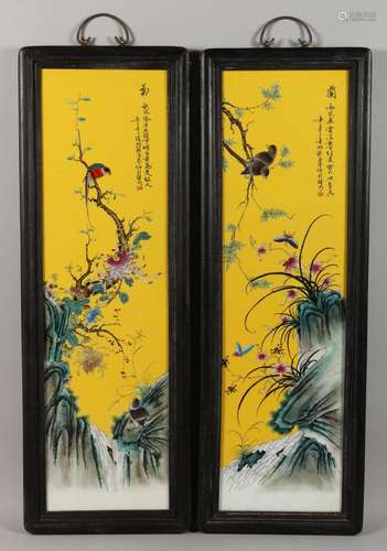 A PAIR OF CHINESE PORCELAIN PLAQUES, yellow ground with bird...