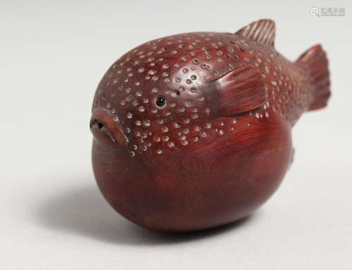 A CARVED JAPANESE WOODEN PUFFER FISH. 3.5ins.