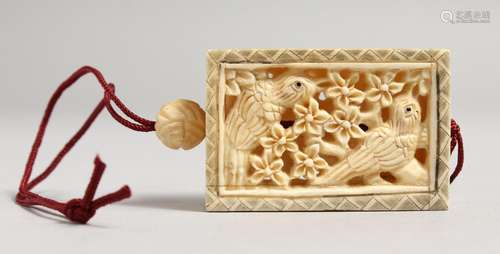 A PIERCED BONE BIRD BOX.