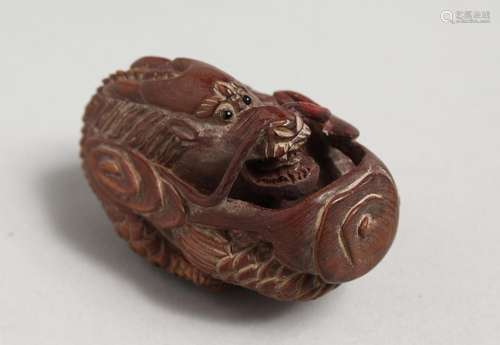 A JAPANESE CARVED WOOD DRAGON NETSUKE. 2.5ins.