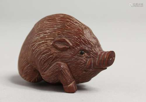 A JAPANESE CARVED HOG NETSUKE. 2.5ins.