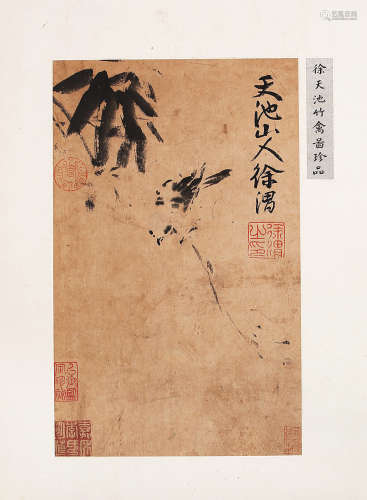 徐渭（1521-1593） 花卉 镜片