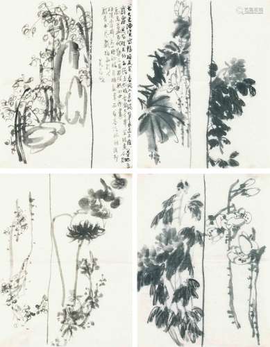 1844～1927 吴昌硕 花卉手稿（13帧） 纸本 镜心