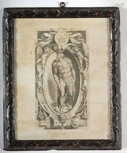 Alberti Cherubino, Nuda Veritas