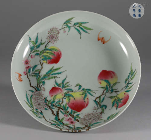 Qing Dynasty - Famille Rose Plate