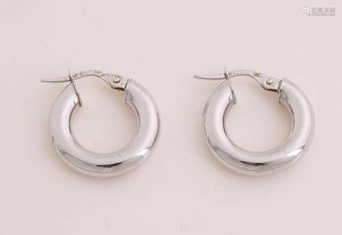 White gold earrings