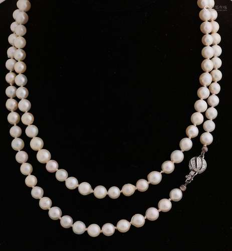 pearl necklace