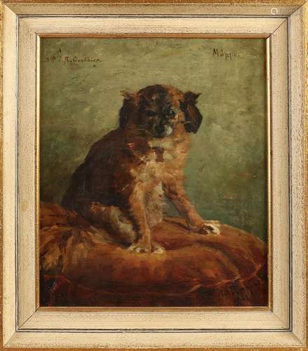 A. van Rappard, little dog MÃ¶ppe