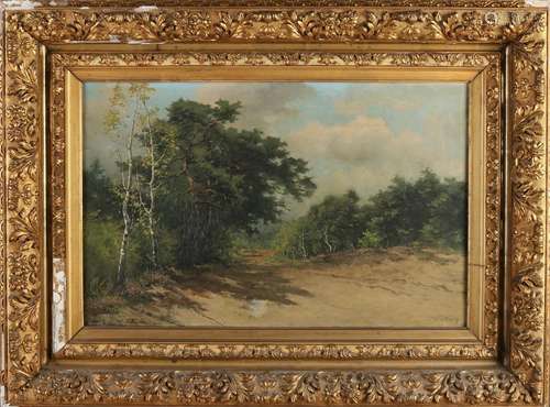 Willem van der Worp, Forest view