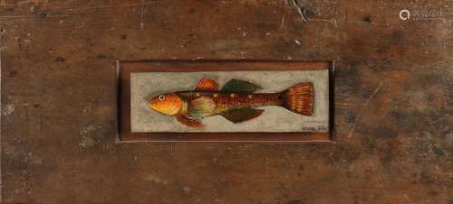 D. d'Arte F. Conso, Fish on metal