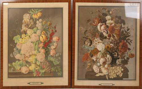 After Joseph Nigg, Two Botanical Prints