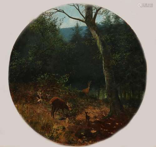 F. StÃ¶cker, Roe deer in the woods