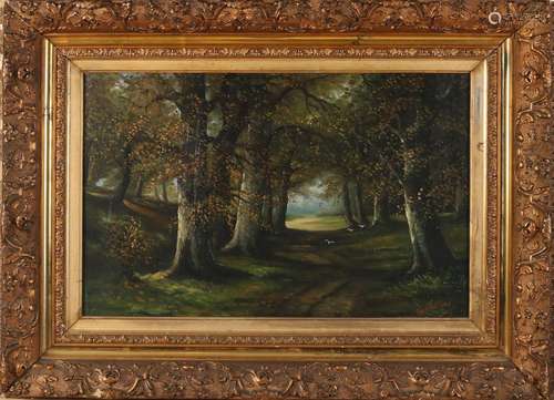 Wallaert, Forest view