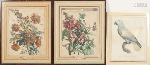 Three antique 18th century engravings