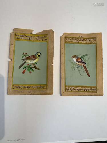 Lot of two original Indian art hand painted birds, Curl Bunt...