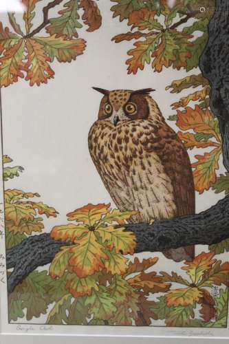 Eagle Owl, Toshi Yoshida, Japanese Woodblock Print