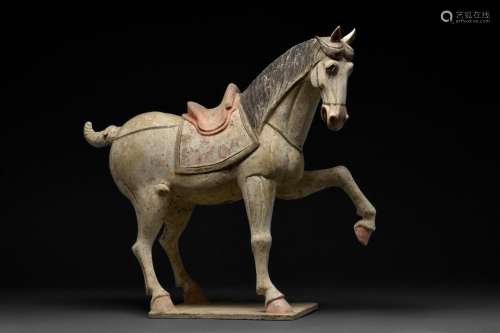 A CHINESE TANG DYNASTY TERRACOTTA PRANCING HORSE
