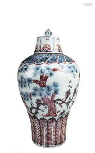 Chinese Iron Red Blue & White Porcelain Vase