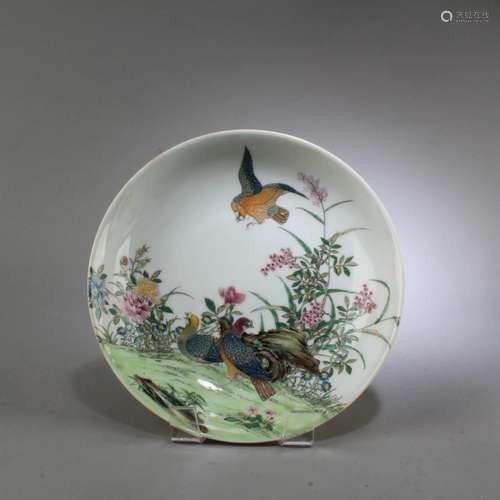 Chinese Famille Rose Porcelain Plate