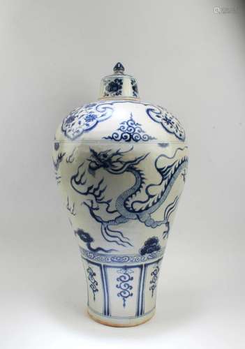 Chinese Blue & White Porcelain Meiping Vase